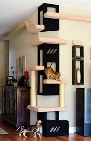 catifying your house